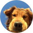 Patteera Y. profile picture